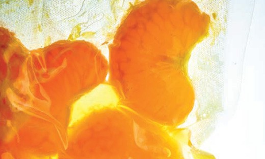 Sous-vide mandarijntjes